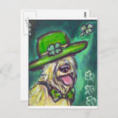 Carte Postale premier jour de paddle sir wheaten (Devant / Derrière)