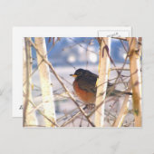 Carte Postale Premier oiseau (Devant / Derrière)