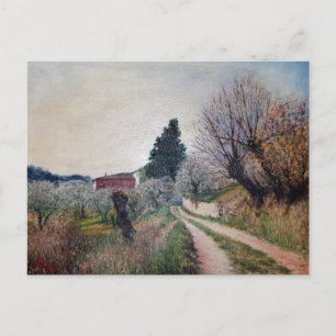 Carte Postale PREMIER PRINTEMPS EN GOUVERNALAIS / Paysage Toscan