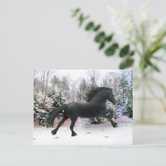 Carte Postale "Première course de neige" (Debout devant)