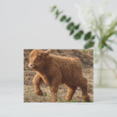 Carte Postale première étape (Debout devant)