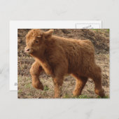 Carte Postale première étape (Devant / Derrière)