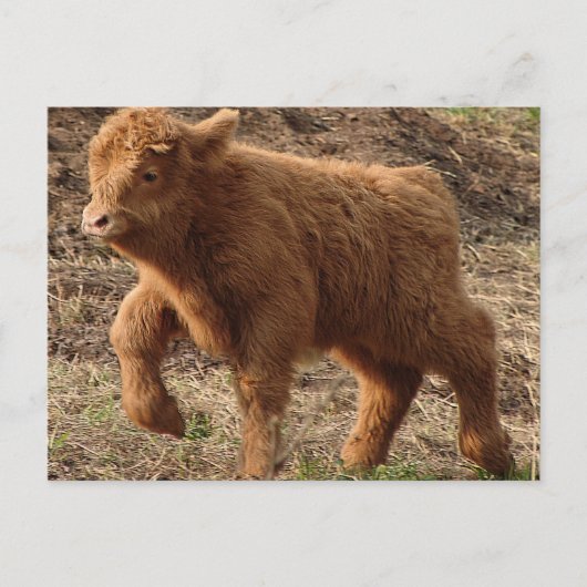 Carte Postale première étape (Devant)