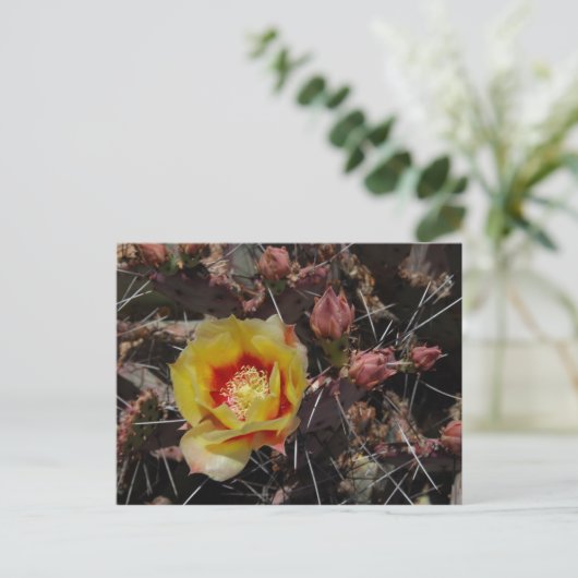 Carte Postale Première floraison (Debout devant)