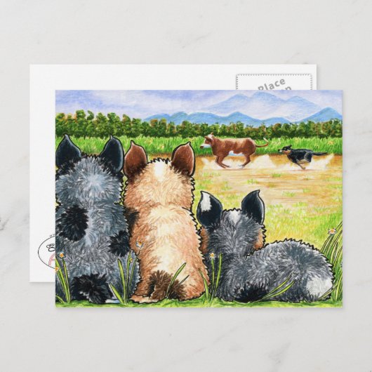 Carte Postale Première leçon d'Andie (Devant / Derrière)