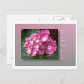 Carte Postale Première lumière avec Hydrangeas (Devant / Derrière)