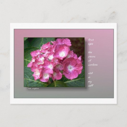 Carte Postale Première lumière avec Hydrangeas (Devant)