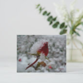 Carte Postale première neige (Debout devant)