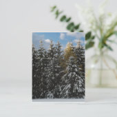 Carte Postale Première neige 2009 (Debout devant)