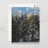 Carte Postale Première neige 2009 (Devant / Derrière)