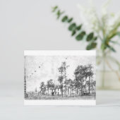 Carte Postale Premières années, Mount Dora, FL (Debout devant)