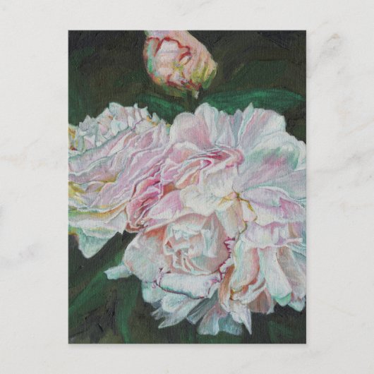 Carte Postale Premières éclosions 2012 (Devant)