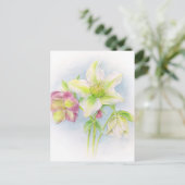Carte Postale Premiers signes d'aquarelle des hellebores de prin (Debout devant)