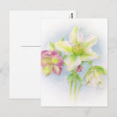 Carte Postale Premiers signes d'aquarelle des hellebores de prin (Devant / Derrière)