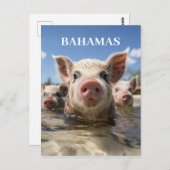 Carte Postale Premium Quality Bahamas Pignobles de natation Exum (Devant / Derrière)