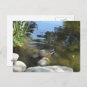 Carte Postale Prendre un Dip Racoon (Devant / Derrière)