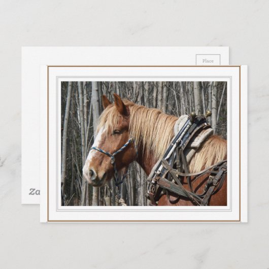 Carte Postale Prendre une pause (Devant / Derrière)