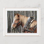 Carte Postale Prendre une pause (Devant)