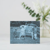 Carte Postale Prenez-En ! Présentation vintage (Debout devant)