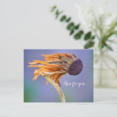 Carte Postale Préoccupation de soin sentiment ici pour vous (Debout devant)