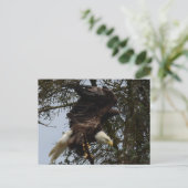 Carte Postale Préparez pour le vol (Debout devant)