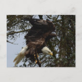 Carte Postale Préparez pour le vol (Devant)