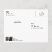 Carte Postale Près de l'arbre de Noël de Dallas Merci (Dos)