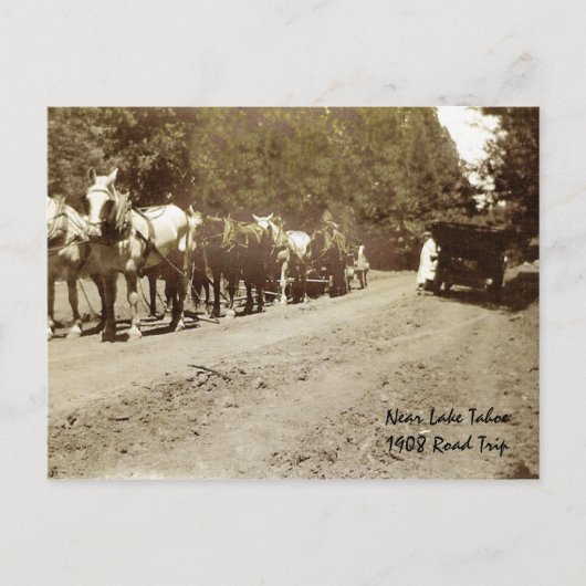 Carte Postale Près de Tahoe - 1908 (Devant)
