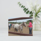 Carte Postale Présentation de chevaux (Debout devant)