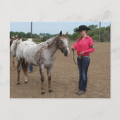 Carte Postale Présentation de chevaux (Devant)