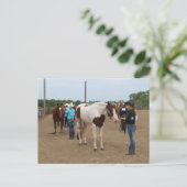 Carte Postale Présentation de chevaux (Debout devant)