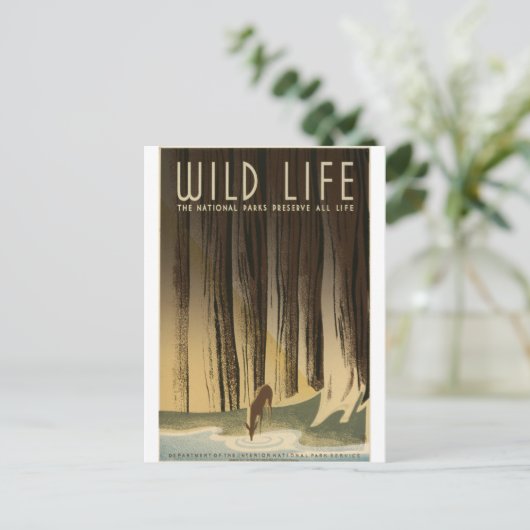 Carte Postale Préserver la faune (Debout devant)