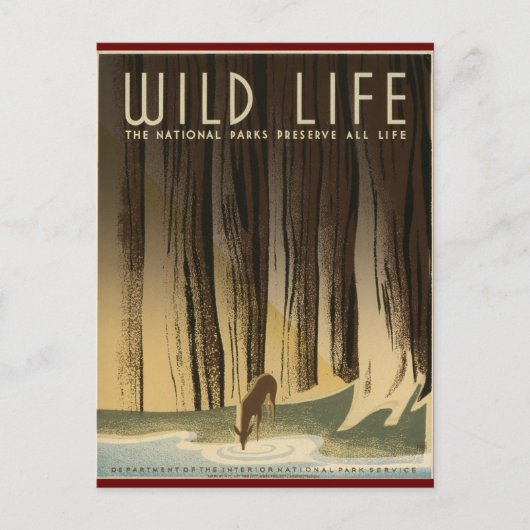 Carte Postale Préserver la vie sauvage (Devant)