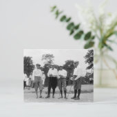 Carte Postale Président Harding Golf Foursome, années 1920 (Debout devant)