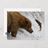 Carte Postale Presque, Brooks Falls Alaska (Devant / Derrière)