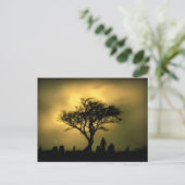 Carte Postale Presque le coucher du soleil (Debout devant)