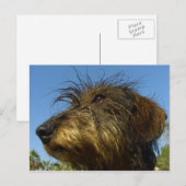Carte Postale Prêt à chasser (Devant / Derrière)