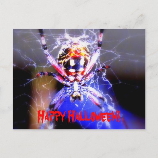 Carte Postale Prêt À Manger (Devant)