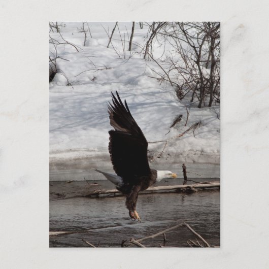 Carte Postale Prêt pour la mise à jour (Devant)