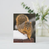 Carte Postale Prêt Pour Le Petit Déjeuner (Debout devant)