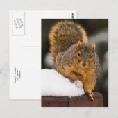 Carte Postale Prêt Pour Le Petit Déjeuner (Devant / Derrière)