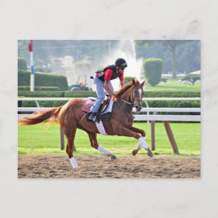 Carte Postale Prêt pour Saratoga 150