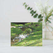 Carte Postale Pretty Creek (Debout devant)