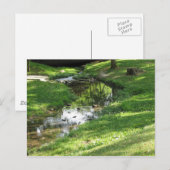 Carte Postale Pretty Creek (Devant / Derrière)