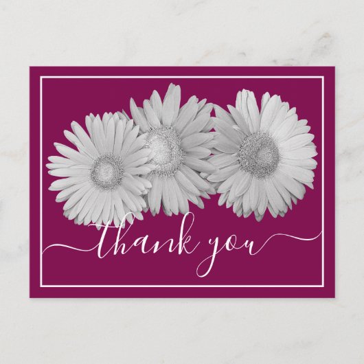 Carte Postale Pretty Gerbera Daisies Botanical Colorful Floral (Devant)