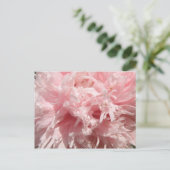 Carte postale Pretty Pale Rose Poppy (Debout devant)