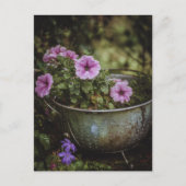 Carte Postale Pretty Petunias violet (Devant)