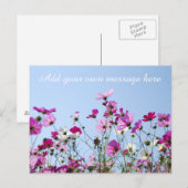 Carte Postale Pretty Pink Meadow Custom Message (Devant / Derrière)