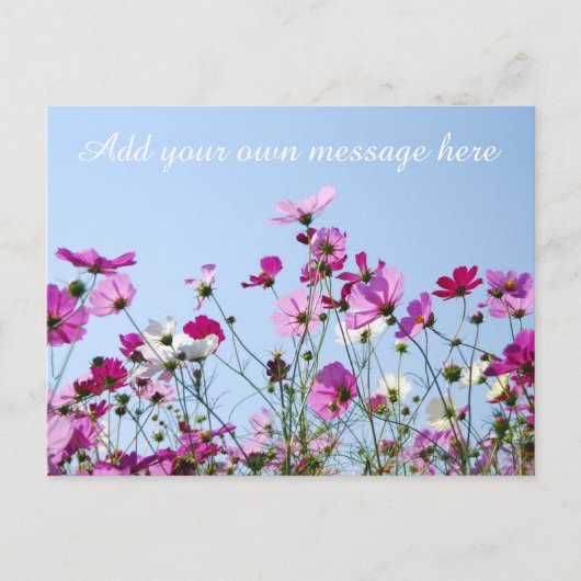 Carte Postale Pretty Pink Meadow Custom Message (Devant)