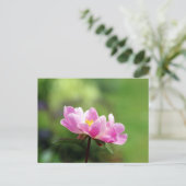 Carte postale Pretty Pink Peony (Debout devant)